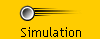 Simulation